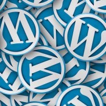 wordpress-small