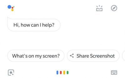 voice assistant