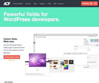 Advanced Custom Fields homepage