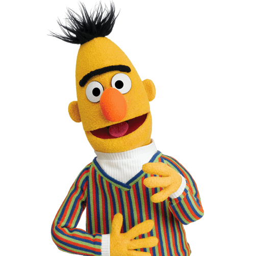 Bert from sesame street (not BERT the NLP)