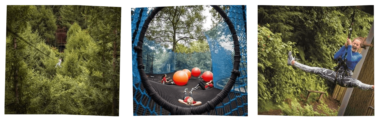 Go ape images
