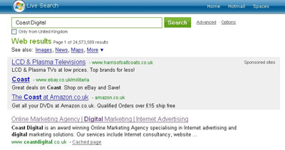 Detail from new version of MSN's Live Search