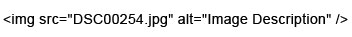 example of image code with alt